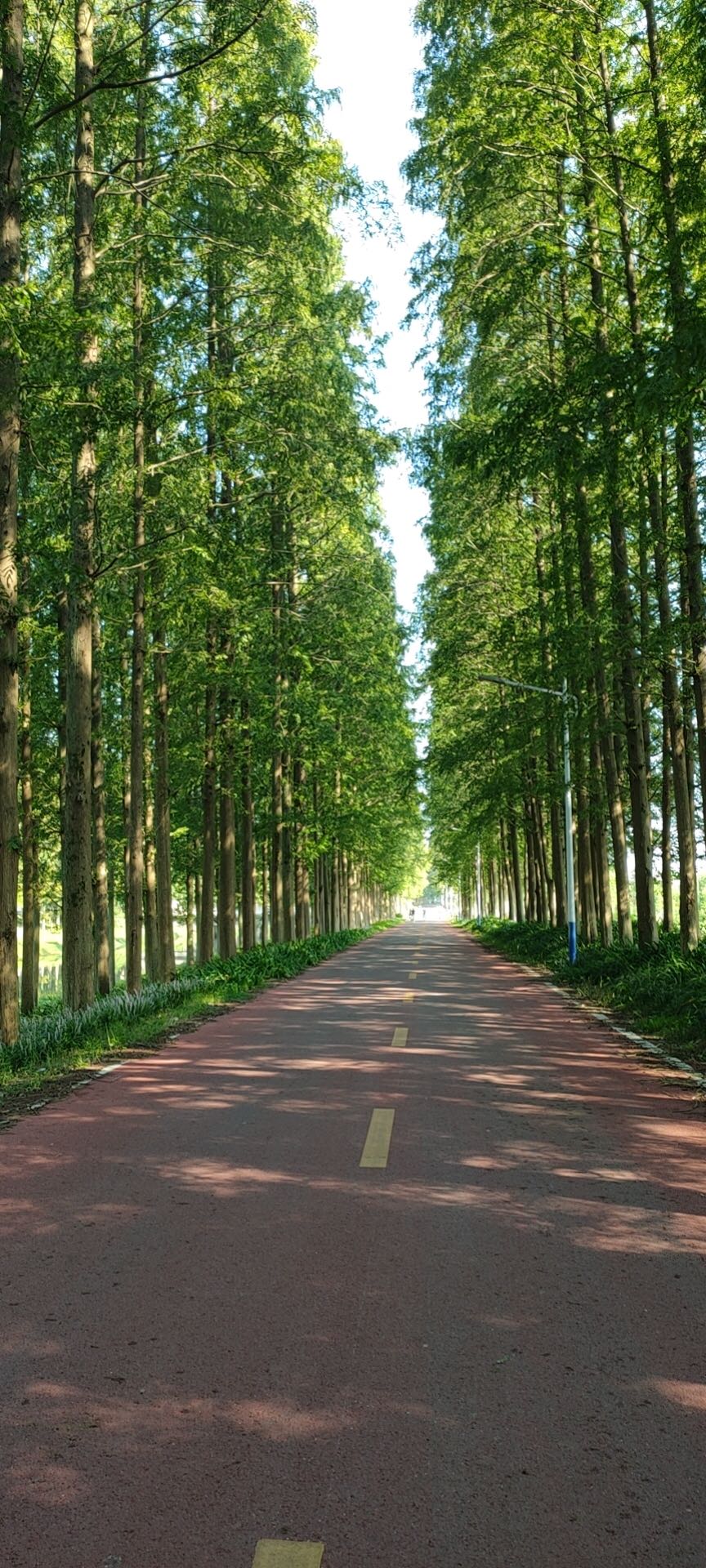 微信图片_20200928145154.jpg