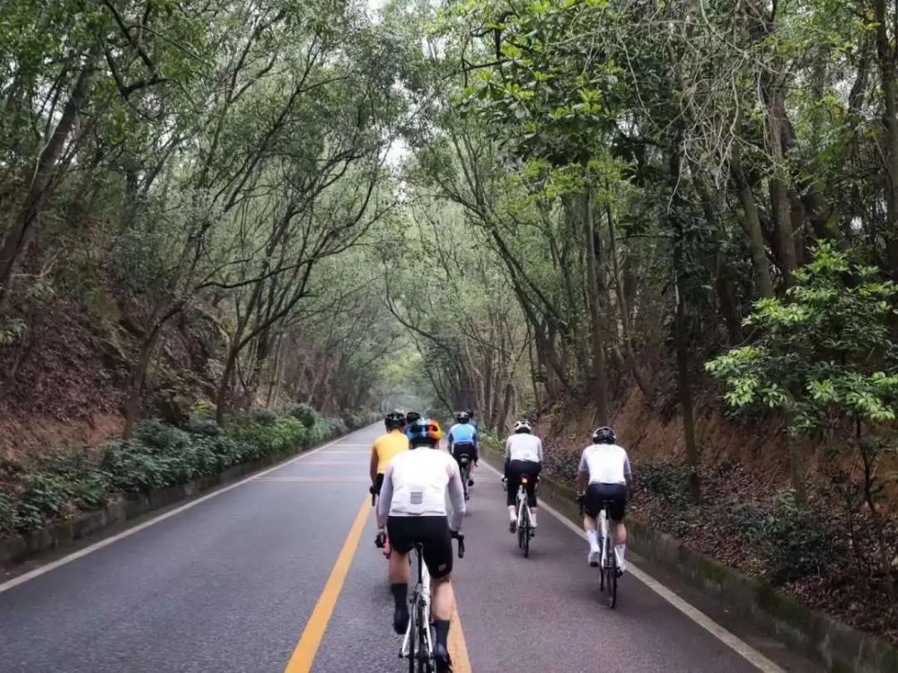 1703817974330977.jpg 1.jpg