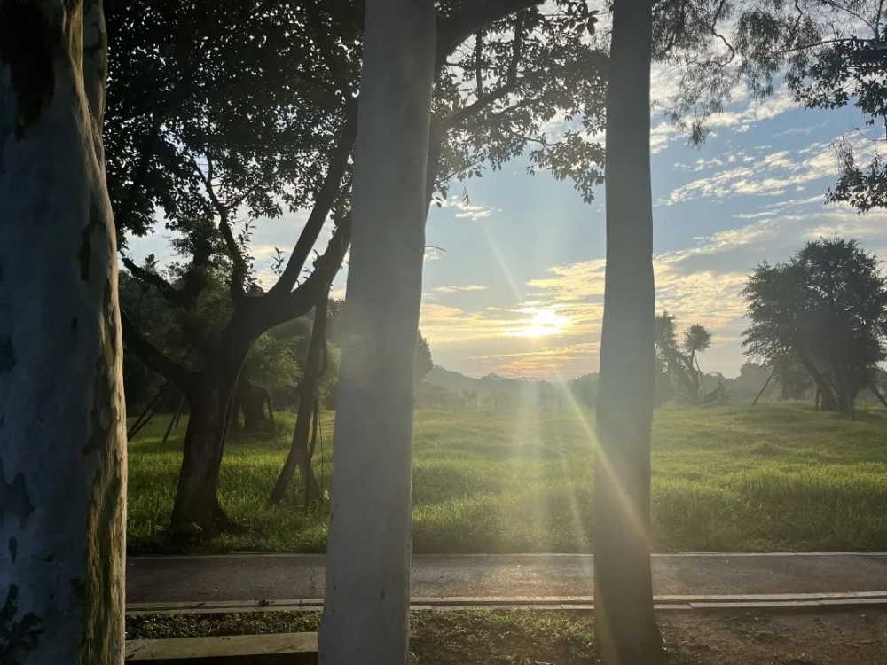 1703818070997588.jpg 6.jpg