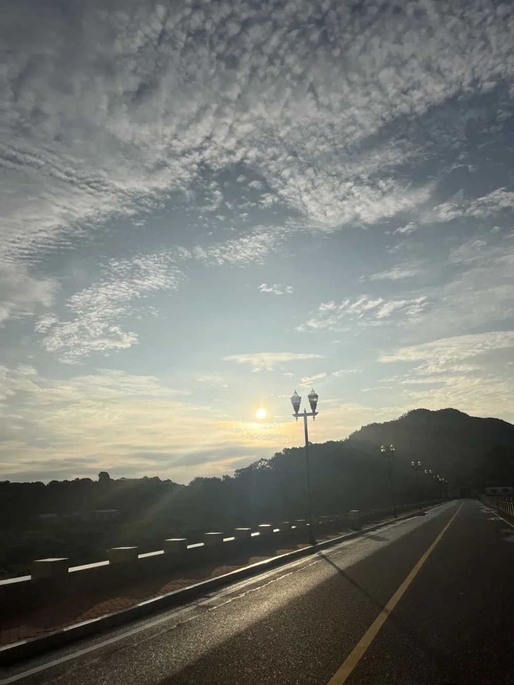 1703818076227907.jpg 7.jpg