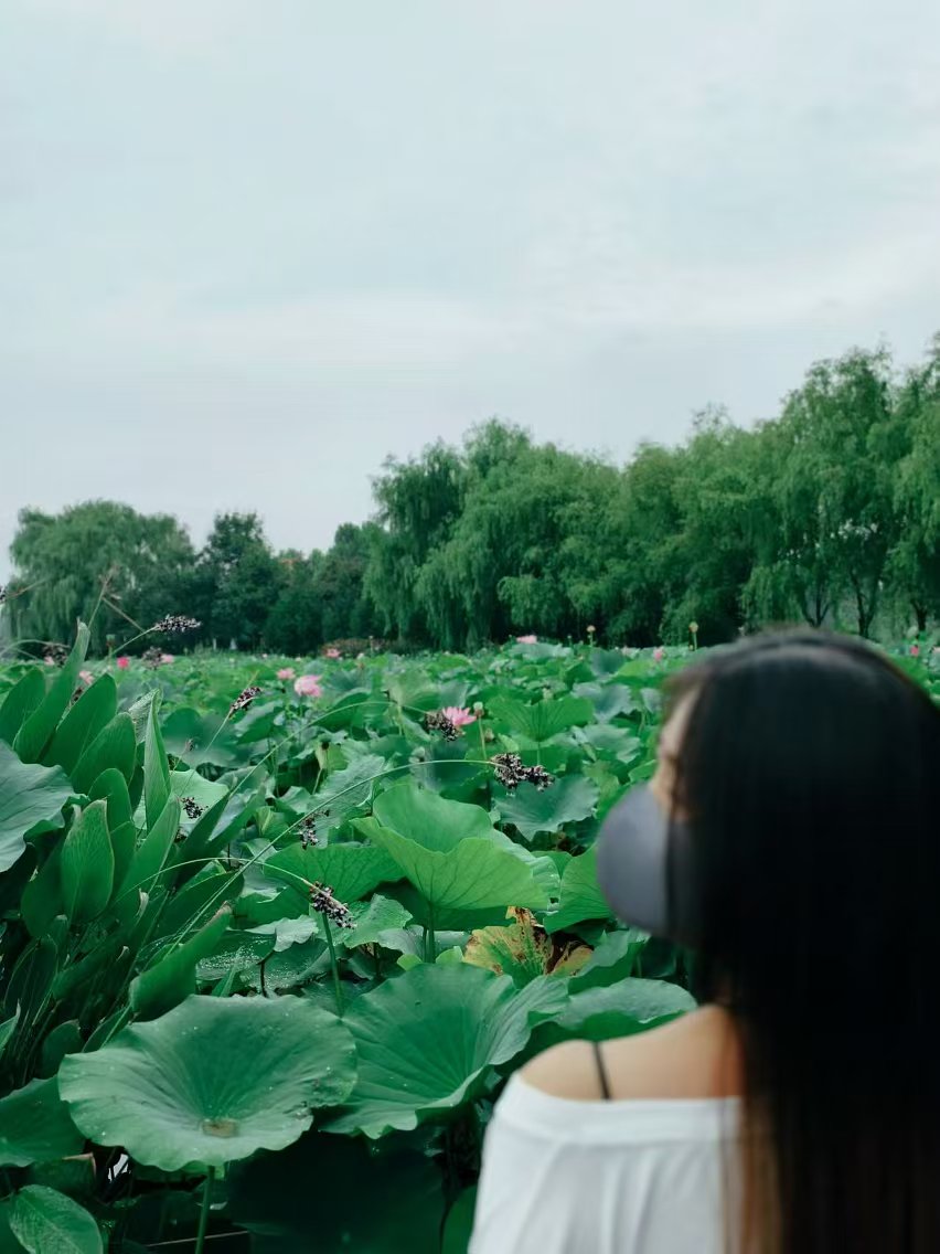 微信图片_20241017132935.jpg