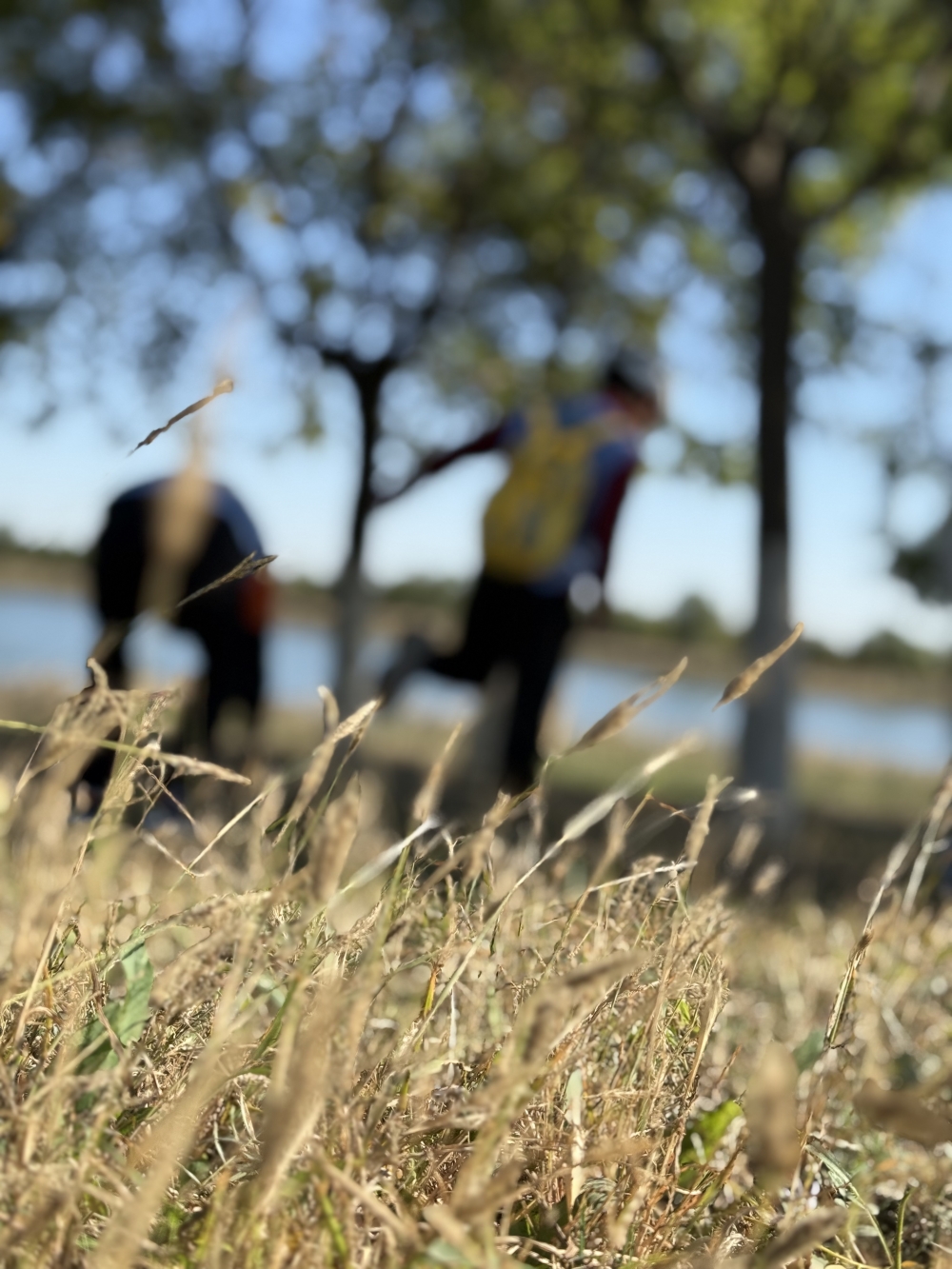 1730273854124916.jpg 91ecf3dad04bc3506f129cc74bc4dac.jpg