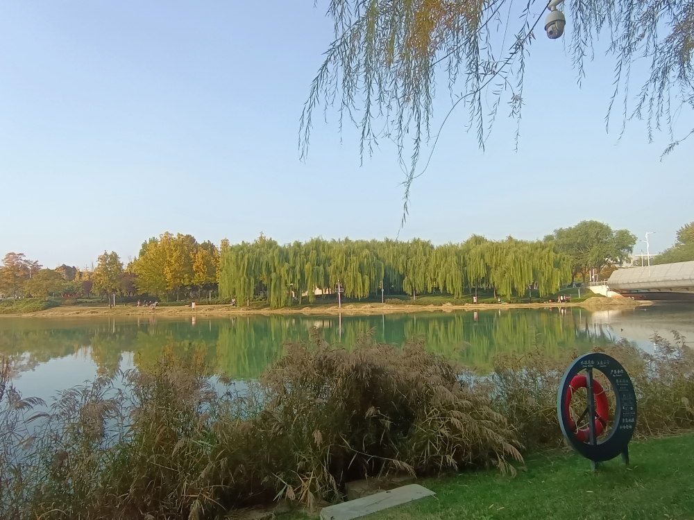 微信图片_20241104112931.jpg