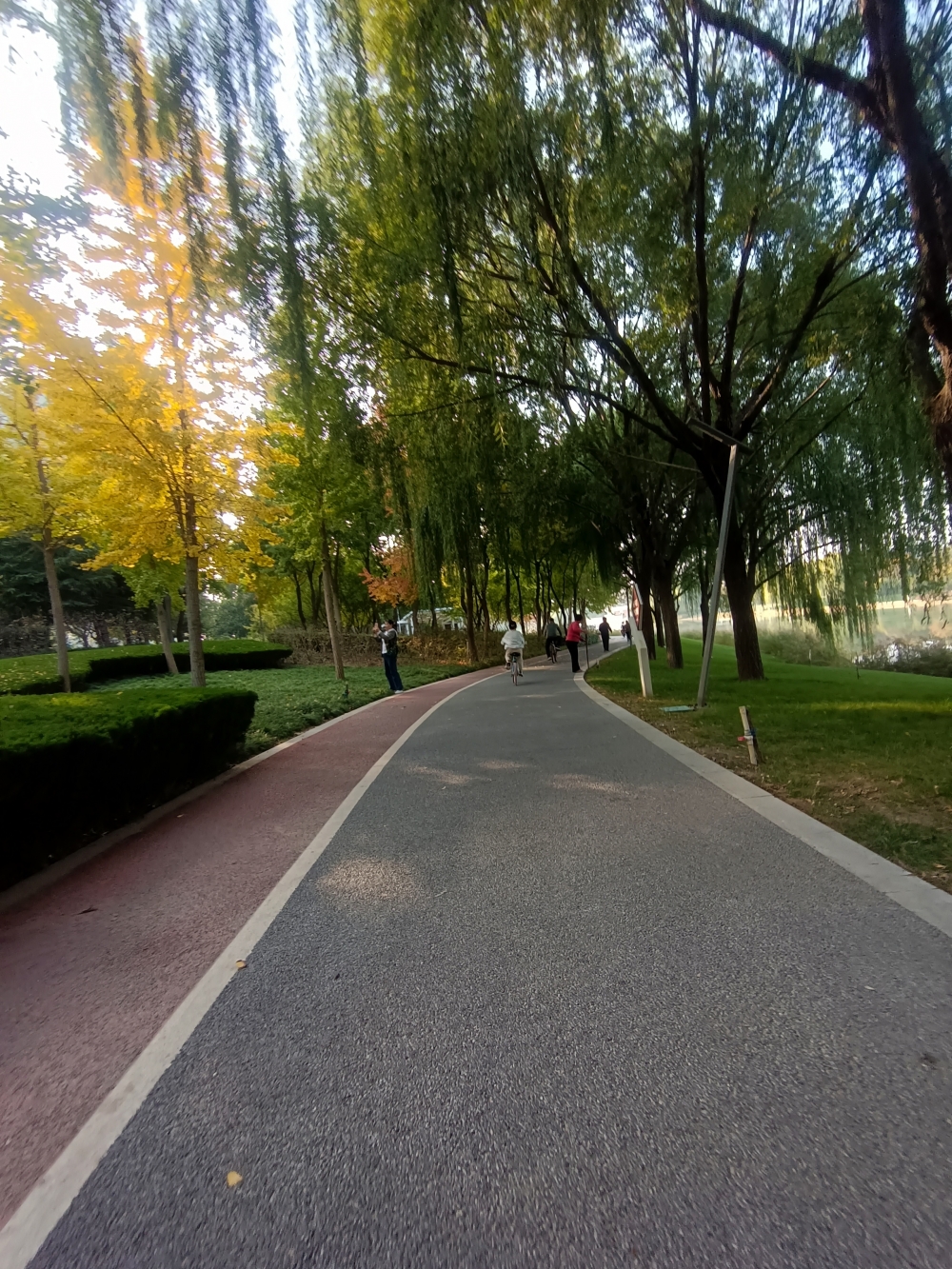 微信图片_20241104112935.jpg