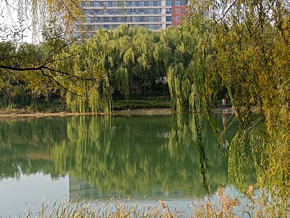 微信图片_20241104112948.jpg