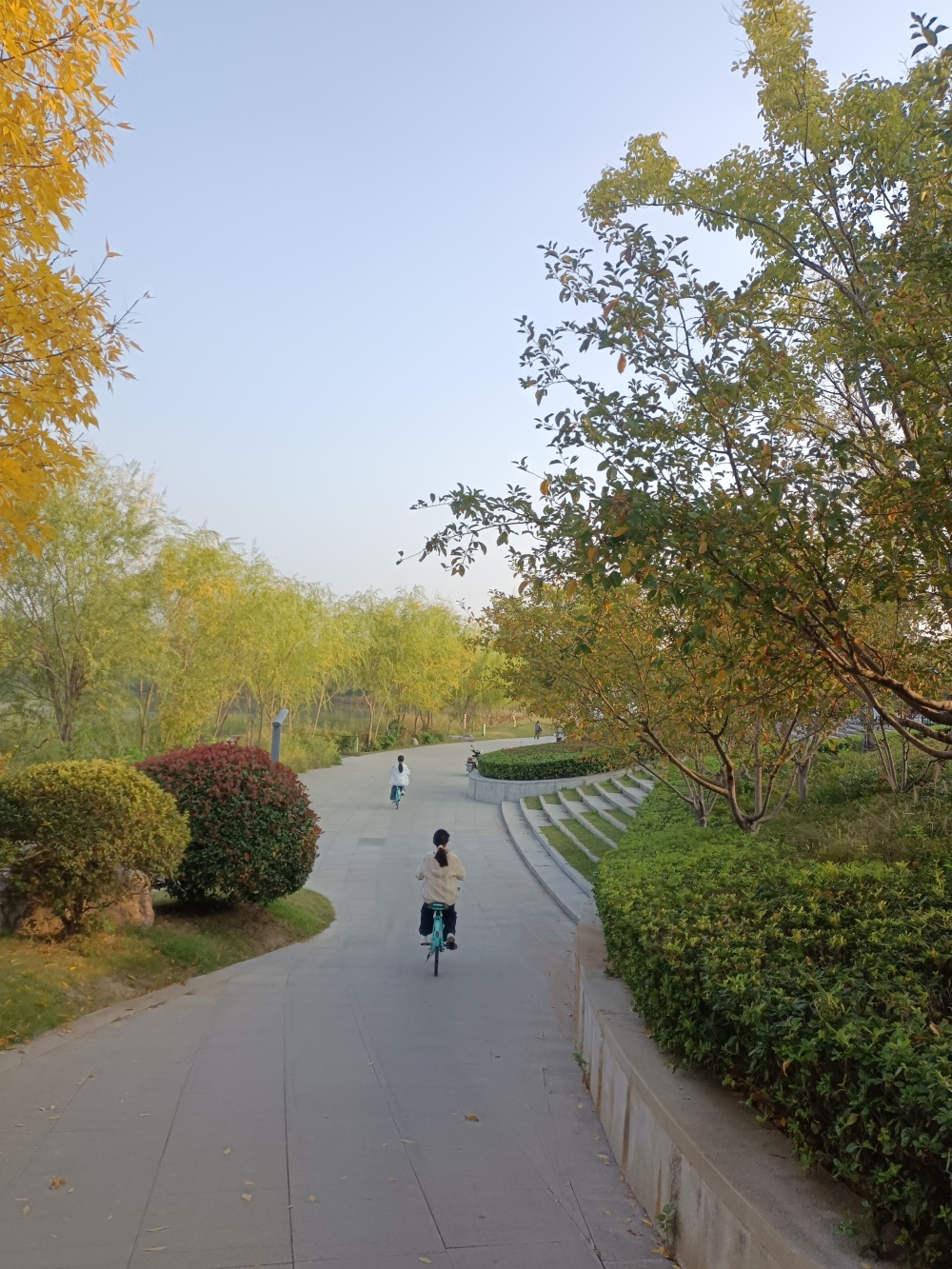 微信图片_20241104112744.jpg