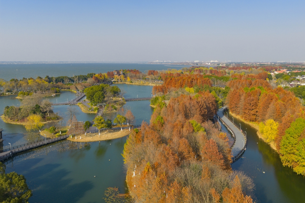 1767749255631040.jpg DJI_20251225140547_0077_D.jpg