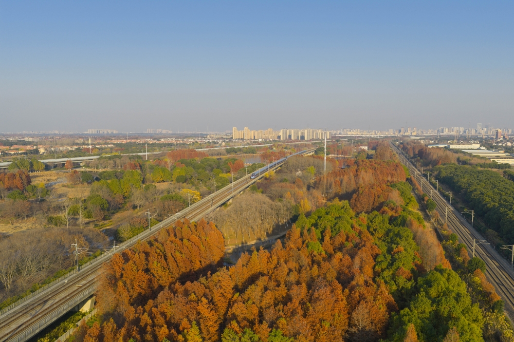 1767749320920391.jpg DJI_20251225153920_0103_D.jpg