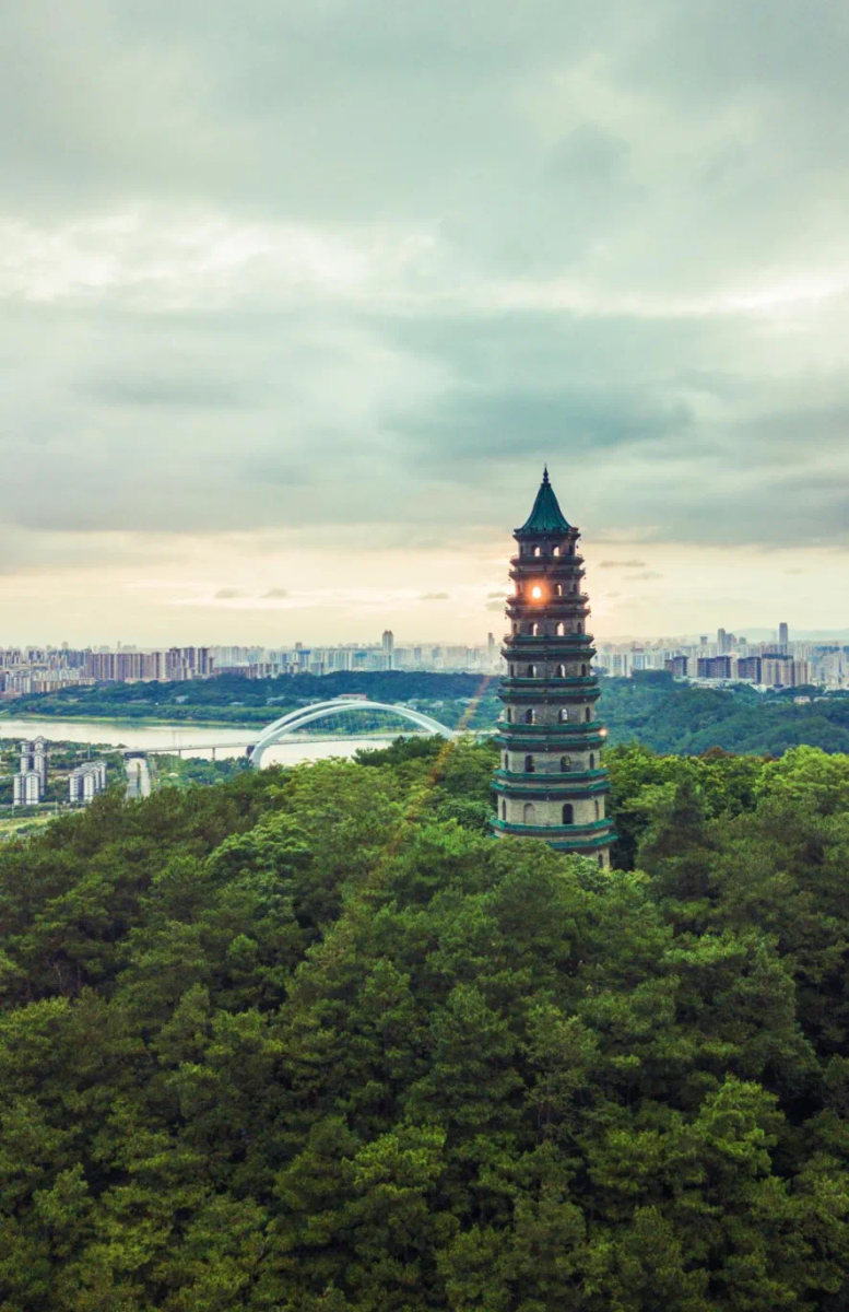 骑游地图